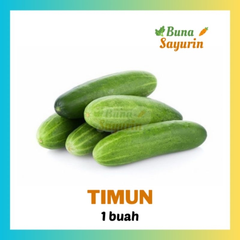 

Timun Lalap Segar Lokal per 1 buah [BunaSayurin]