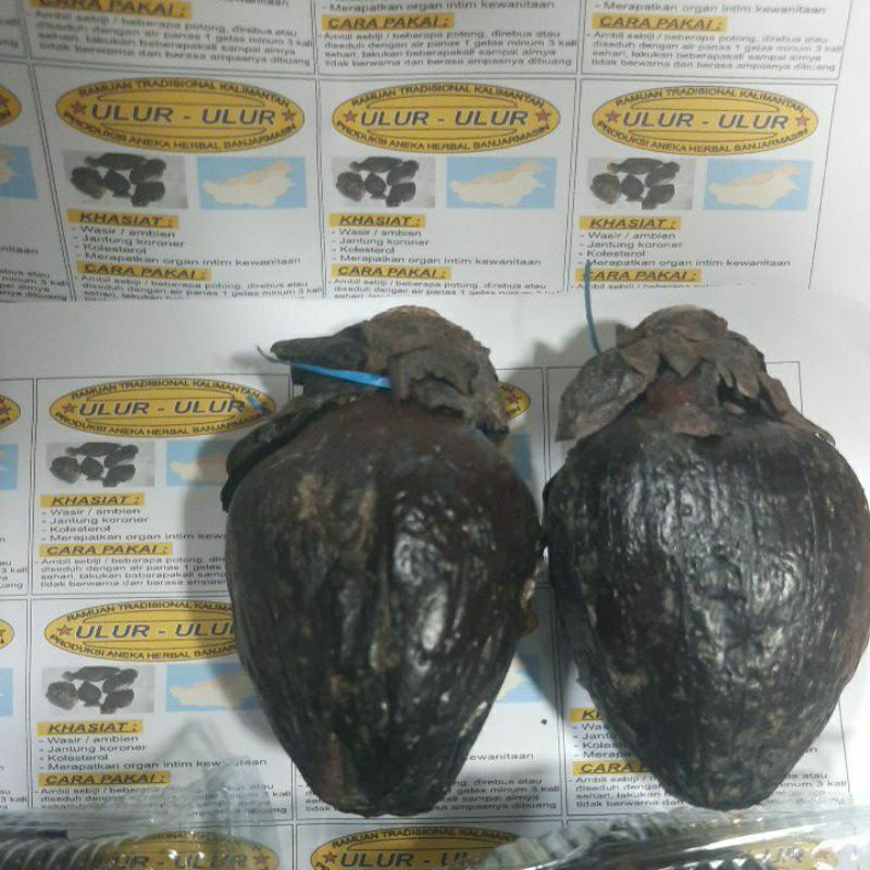 buah ulu ulur minuman herbal kalimantan