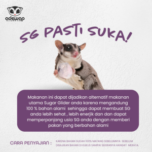ADEWAP GLIDER Frozen Food Sweet Potato  Meatball Glider Chicken For Sugar Glider