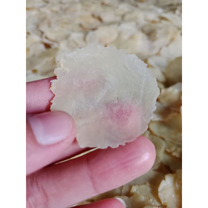 

EMPING MELINJO SUPER TIPIS SETENGAH KERING SP FRESH 1 KG