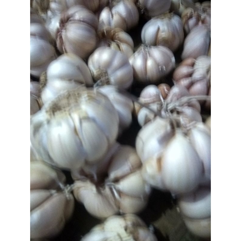 

Bawang Putih 500 gram