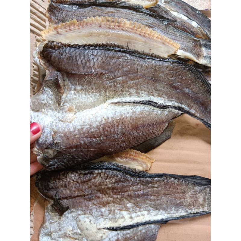 

Ikan kering Gabus
