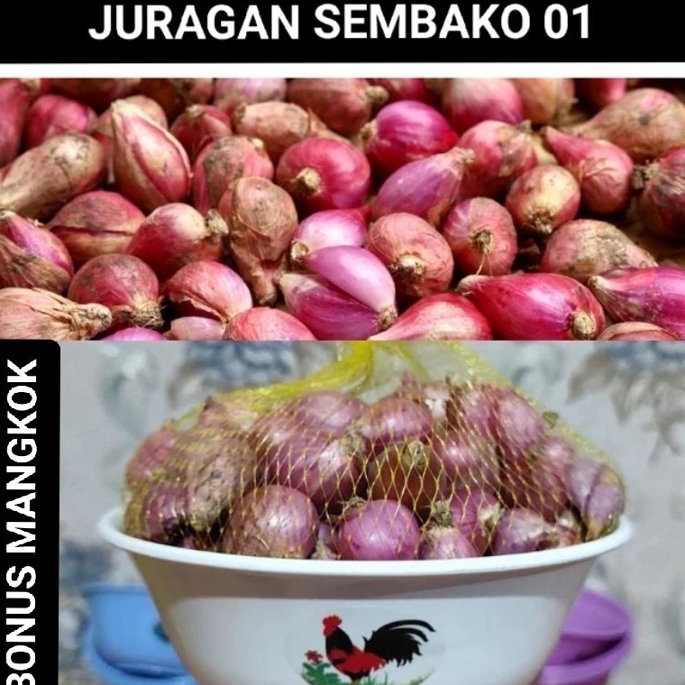 

Serba baru BAWANG MERAH BERKUALITAS 1KG GRATIS mangkok plastik jago