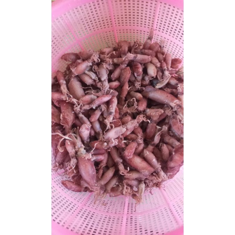 

Cumi Asin Tanpa Pengawet