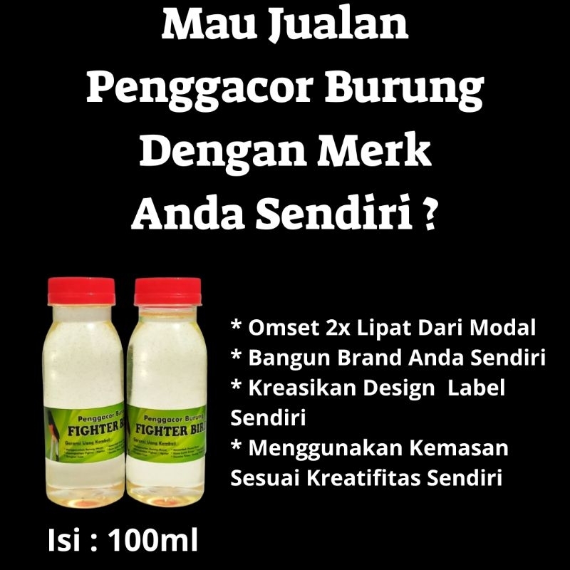 Penggacor Burung Curah - Murai - Cucak Ijo - Kacer - Kenari - Lovebird - Konin - Sogon