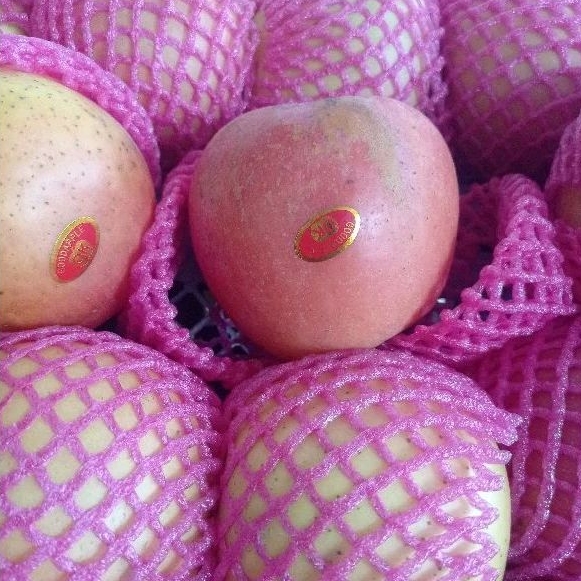 

Buah Apel fuji premium /Grade A