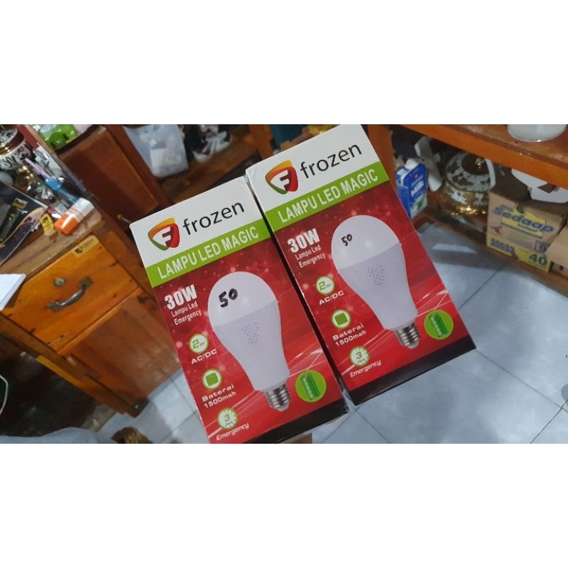 Lampu Emergency LED - Frozen 30 Watt