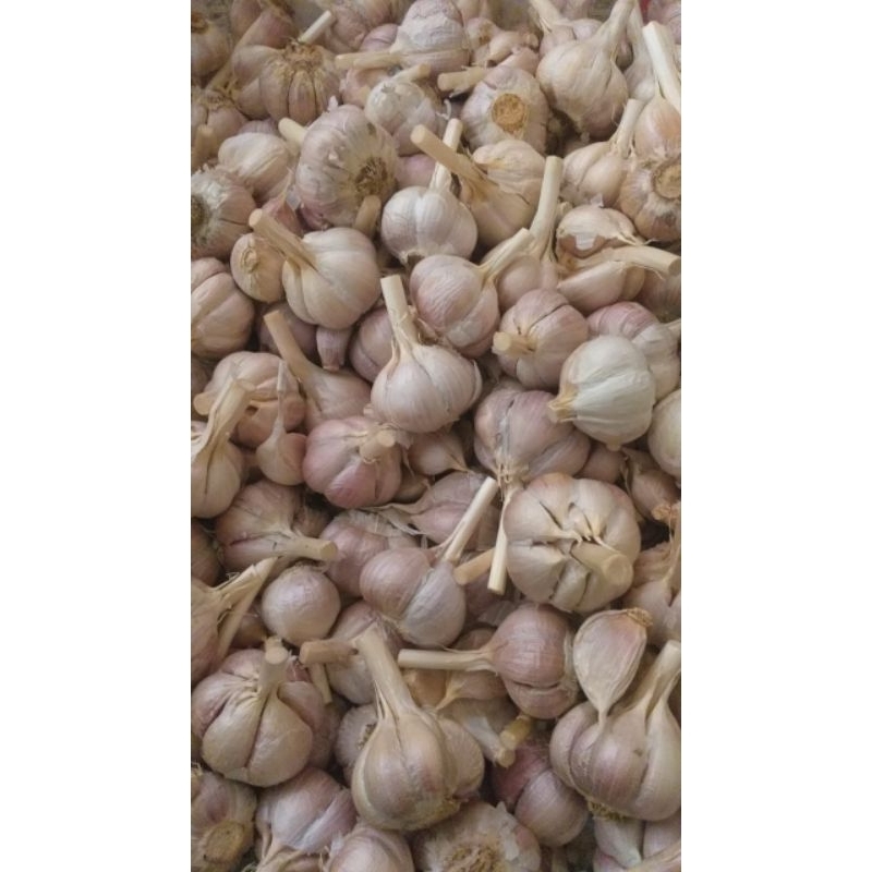 

BAWANG KATING 250GR