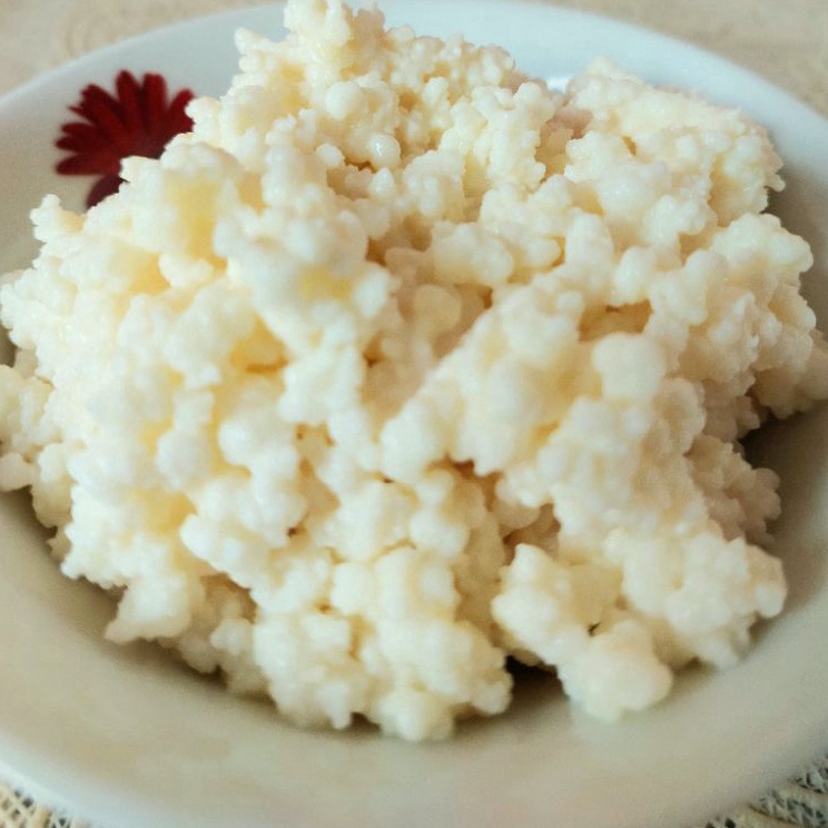 

Hanya disini Bibit Kefir Asli