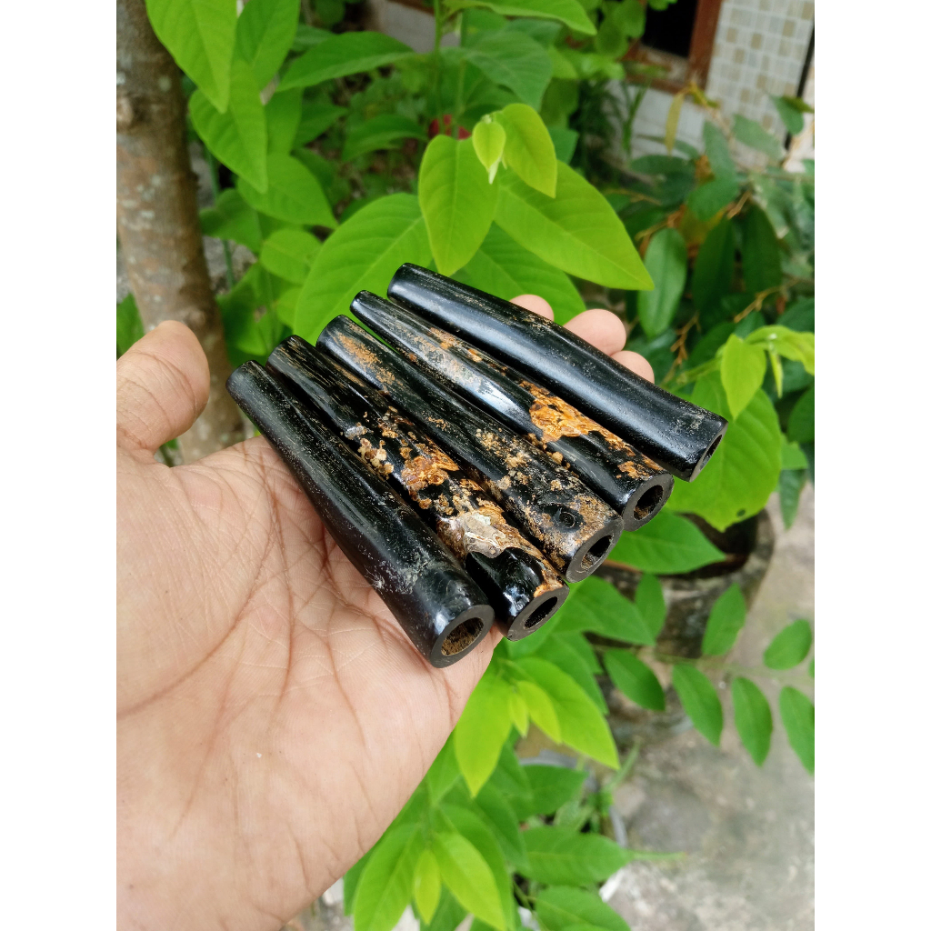 Pipa Once Akar Bahar Asli Tali Arus Panjang 8-12 cm Premium