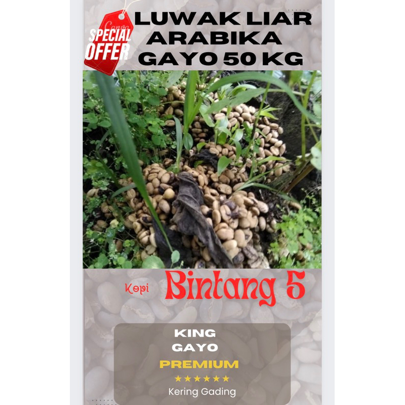 

Promo 50 Kg Green Bean Arabika Gayo Luwak Liar