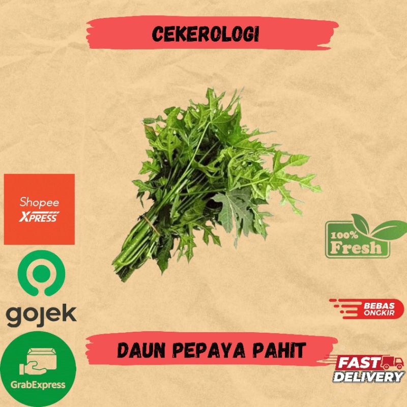 

Daun Pepaya Pahit 1ikat / Daun Pepaya JABODETABEK / Daun Pepaya / Daun Paya / Sayuran / Sayur