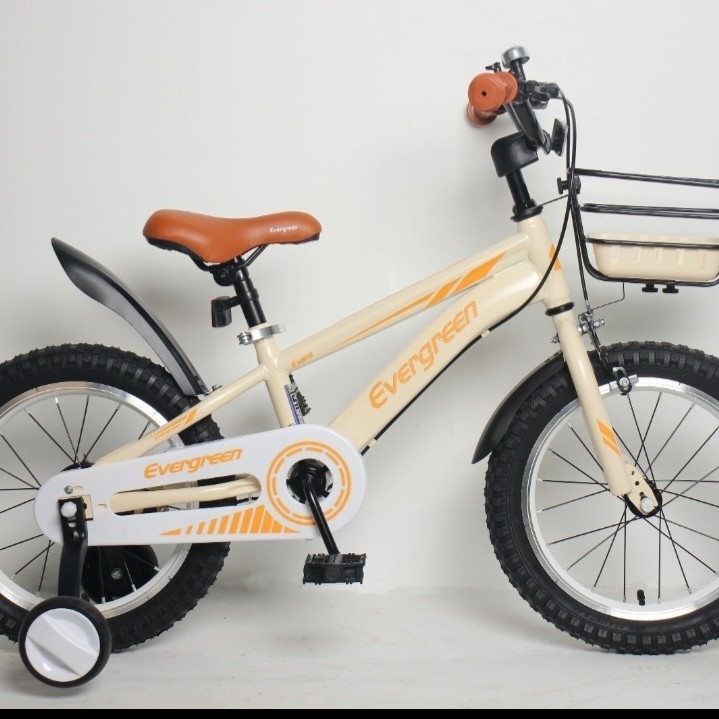 Sepeda bmx 18 inch evergreen anak cowok cewek usia 5-10 tahun velg alloy ada keranjang besi high qua