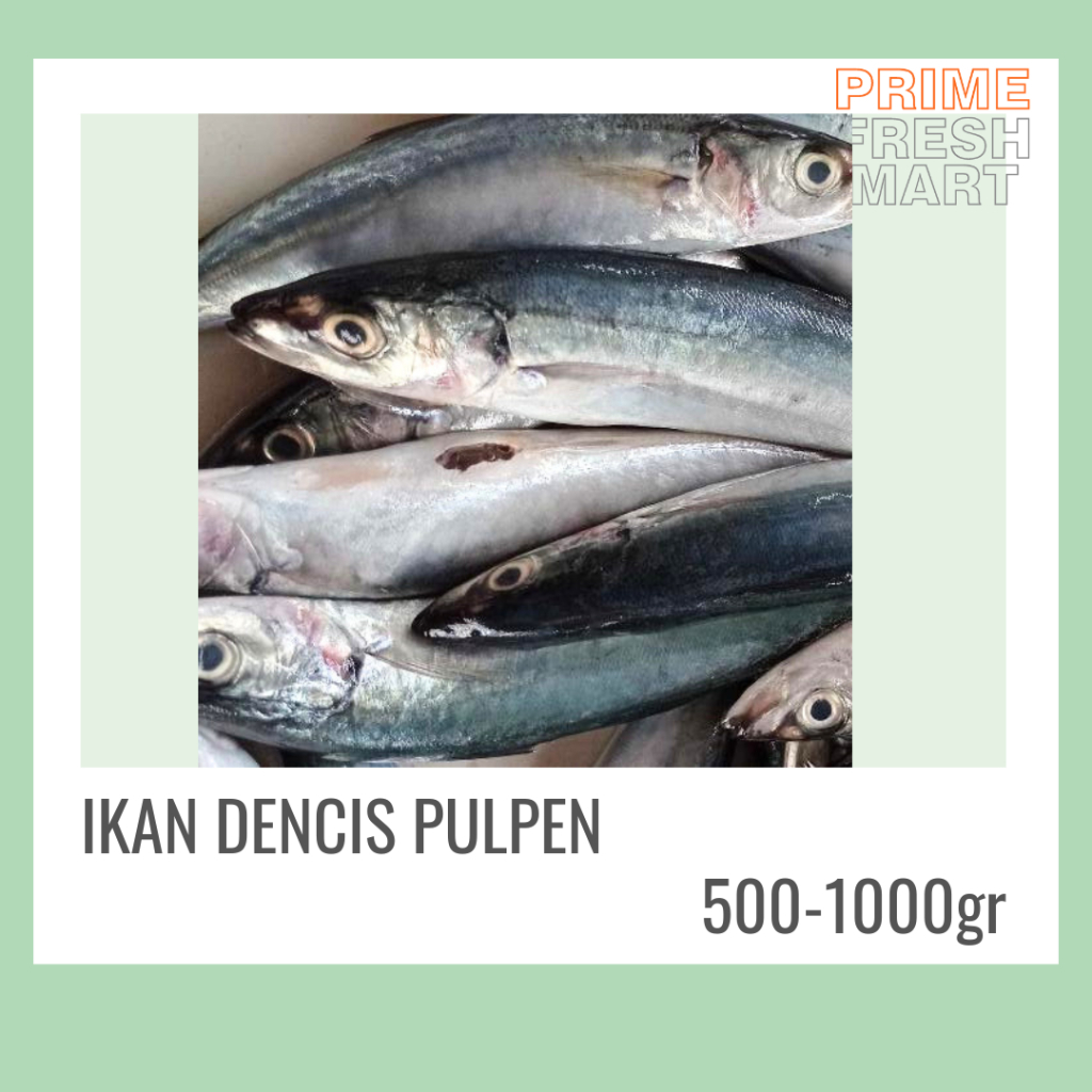 

Ikan Dencis Pulpen Bersih Fresh Frozen