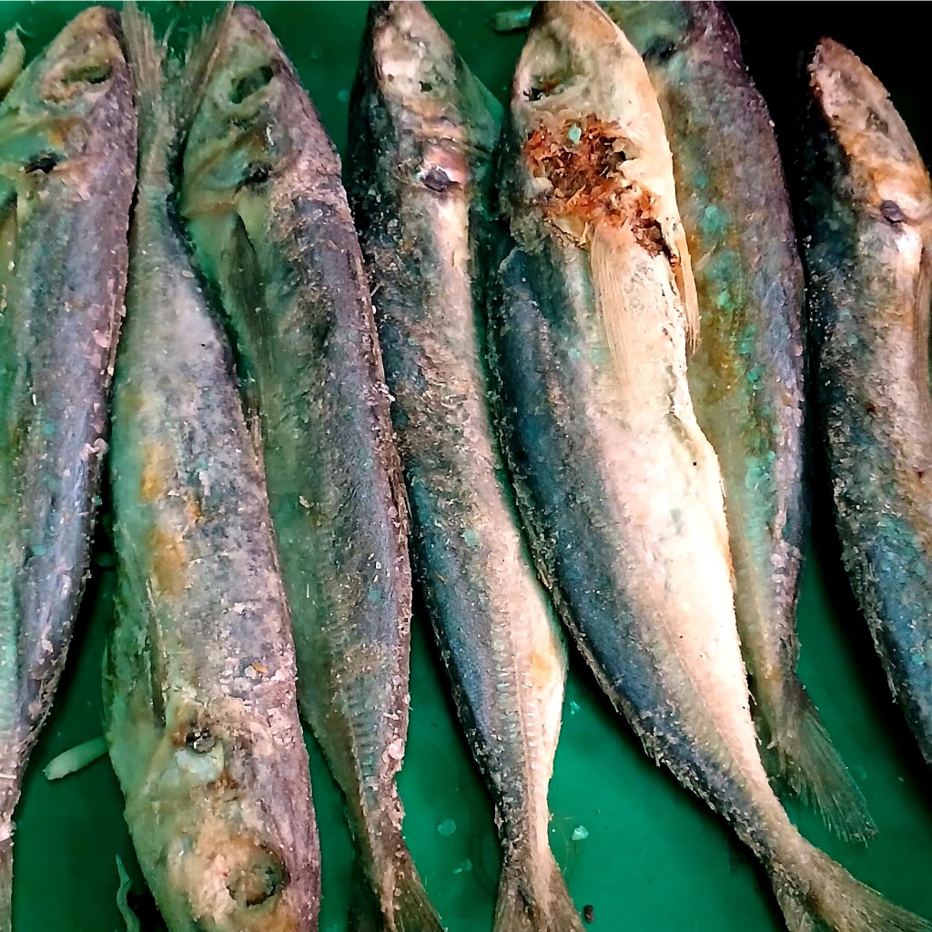 

Ikan asin japu