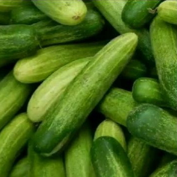 

timun segar 500 gr.