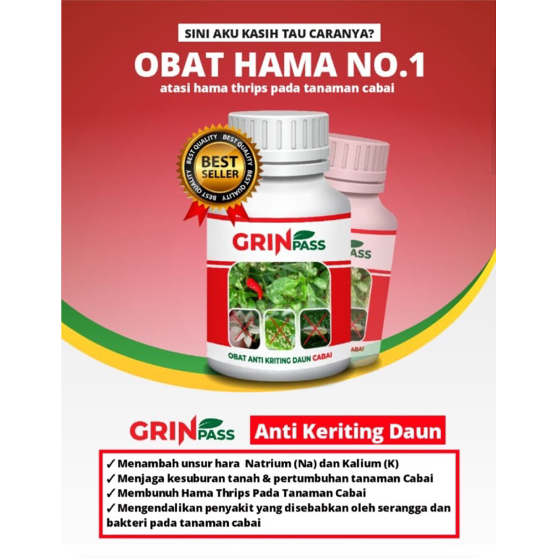 Grin pas solusi terbaik basmi hama anti daun keriting daun cabai hijau