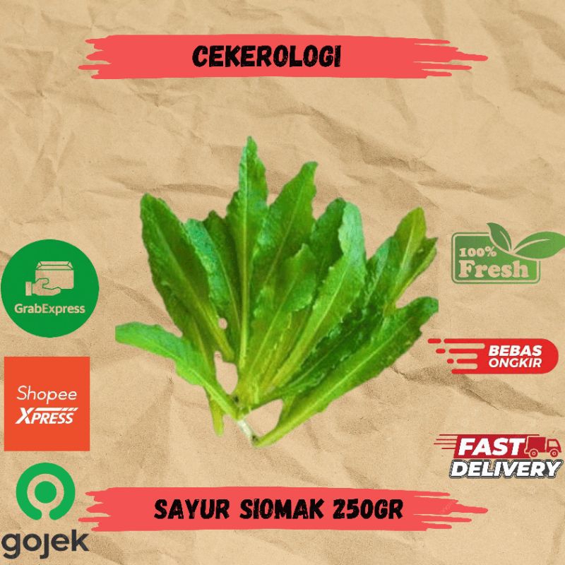 

Sayur Siomak 250gr / Sayur Siomak Fresh Berkualitas / Sayur Siomak / JABODETABEK / Sayur Segar / Sayuran / Sayur