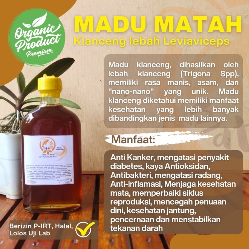 

Madu Klanceng Murni Asli