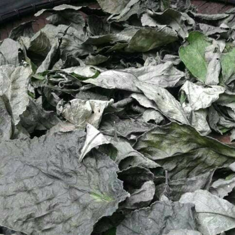 

DAUN KEJI BELING KERING 250 gr