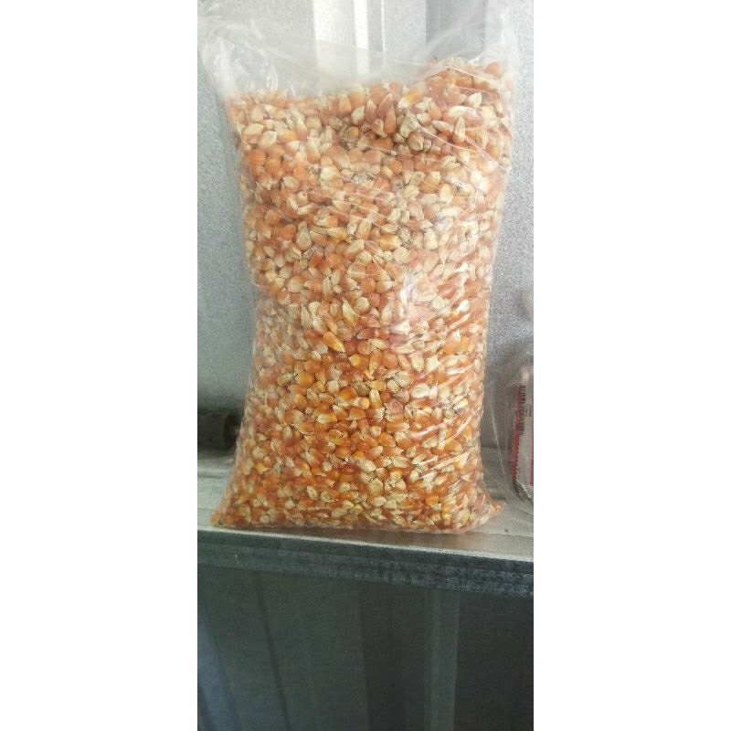 

Jagung kristal kuning