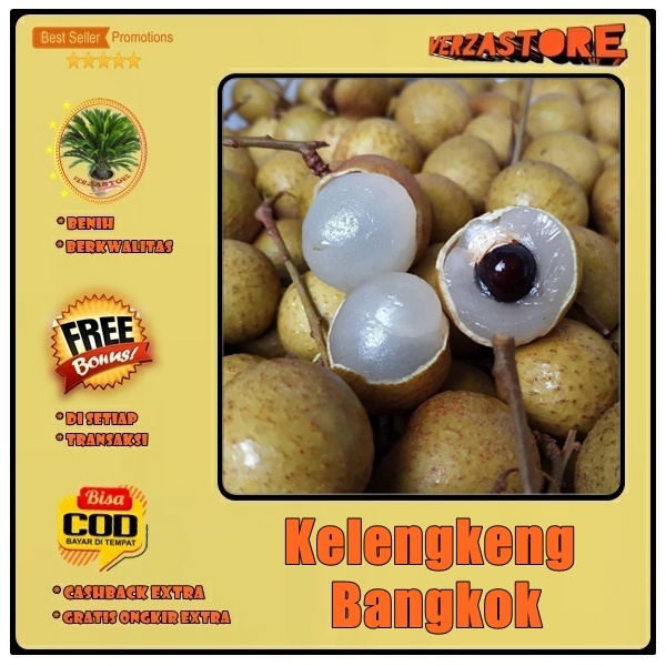 biji/benih/bibit buah kelengkeng bangkok /5 biji