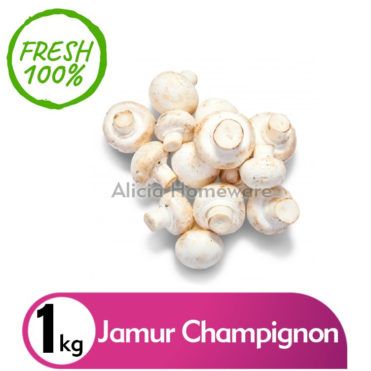 

Hot Item Jamur Champignon 1kg