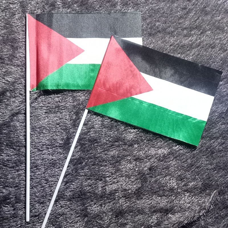 

miniflagpalestinaisi100pcs