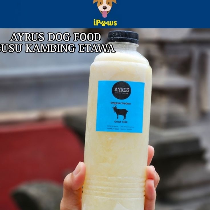 

Buruan Serbu AYRUS DOG FOOD Goat Milk 5ml SUSU KAMBING ETAWA MURNI FROZEN RAW SKY GOAT MILK
