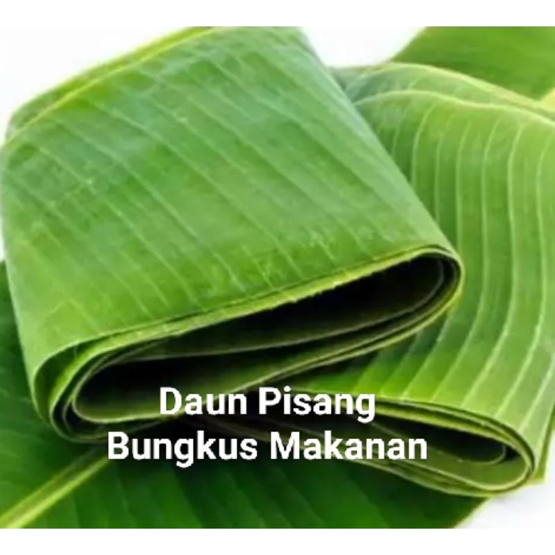 

Daun Pisang Bungkus Makanan