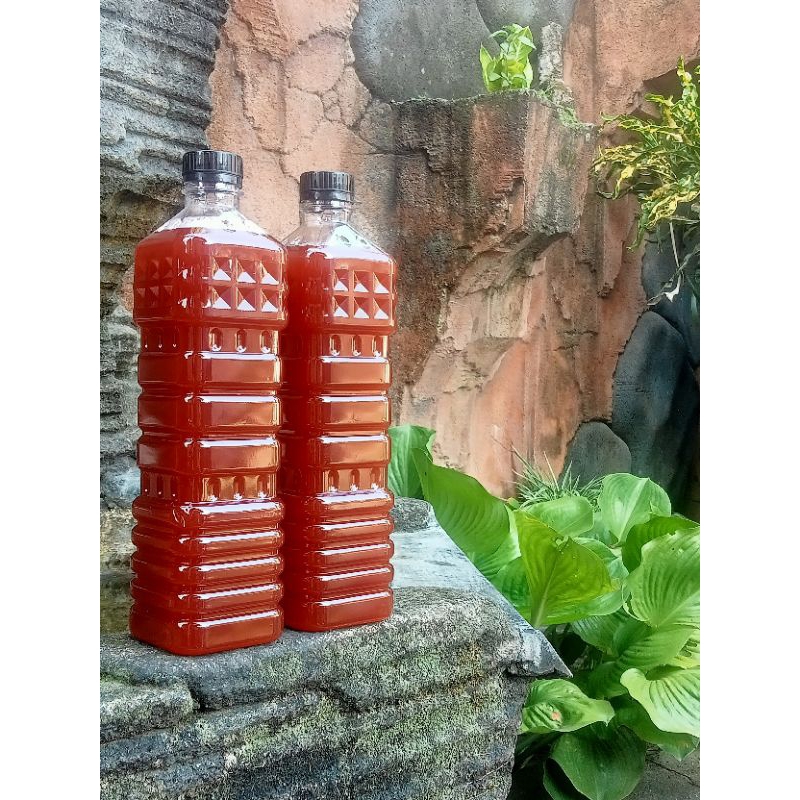 PSB (Bakteri Fotosintesis)