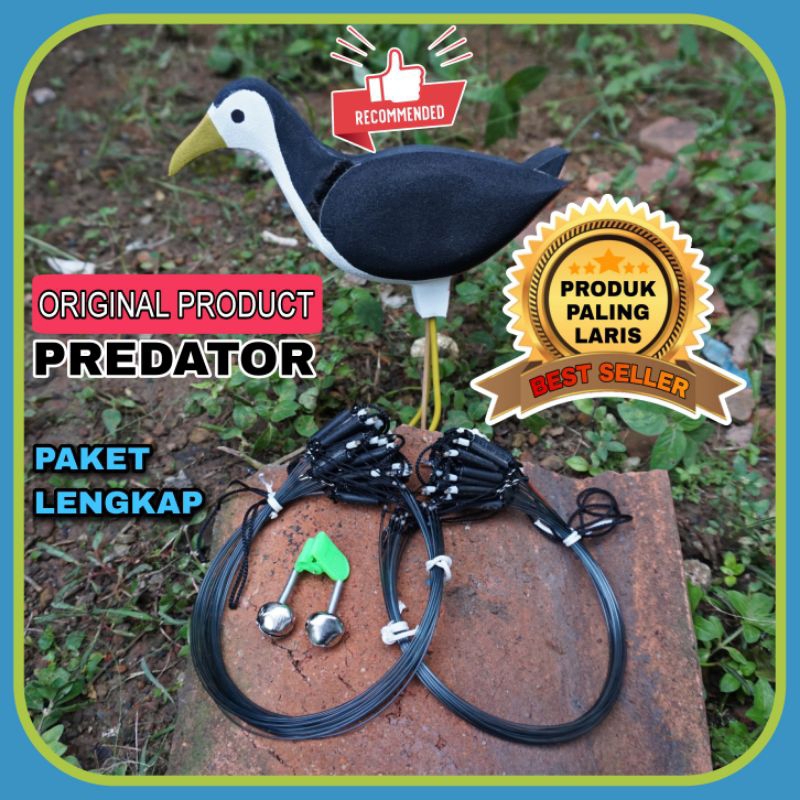 Set lengkap Jerat ruak ruak / burung ayaman kreo padi dan patung decoy