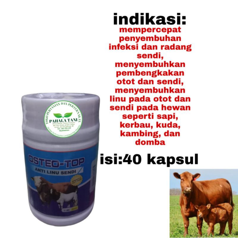 OSTEO-TOP/anti linu sendi/obat linu hewan/obat lumpuh pada hewan/anti linu sendi hewan