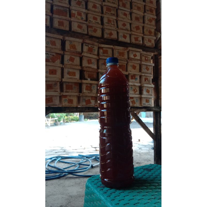 

madu klanceng//trigona