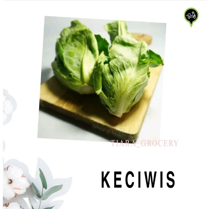 

Keciwis/ ceciwis/ brussel sprout/ baby kol mini