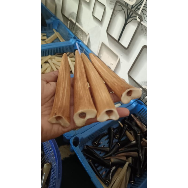 once tulang sapi motif tarduy/once tulang sapi asli/once murah