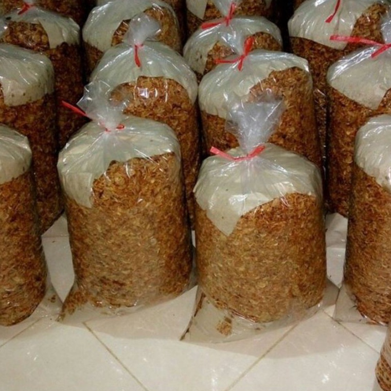 

Super Promo Bagor Bawang Goreng 1kg PREMIUM Grade A Grade B