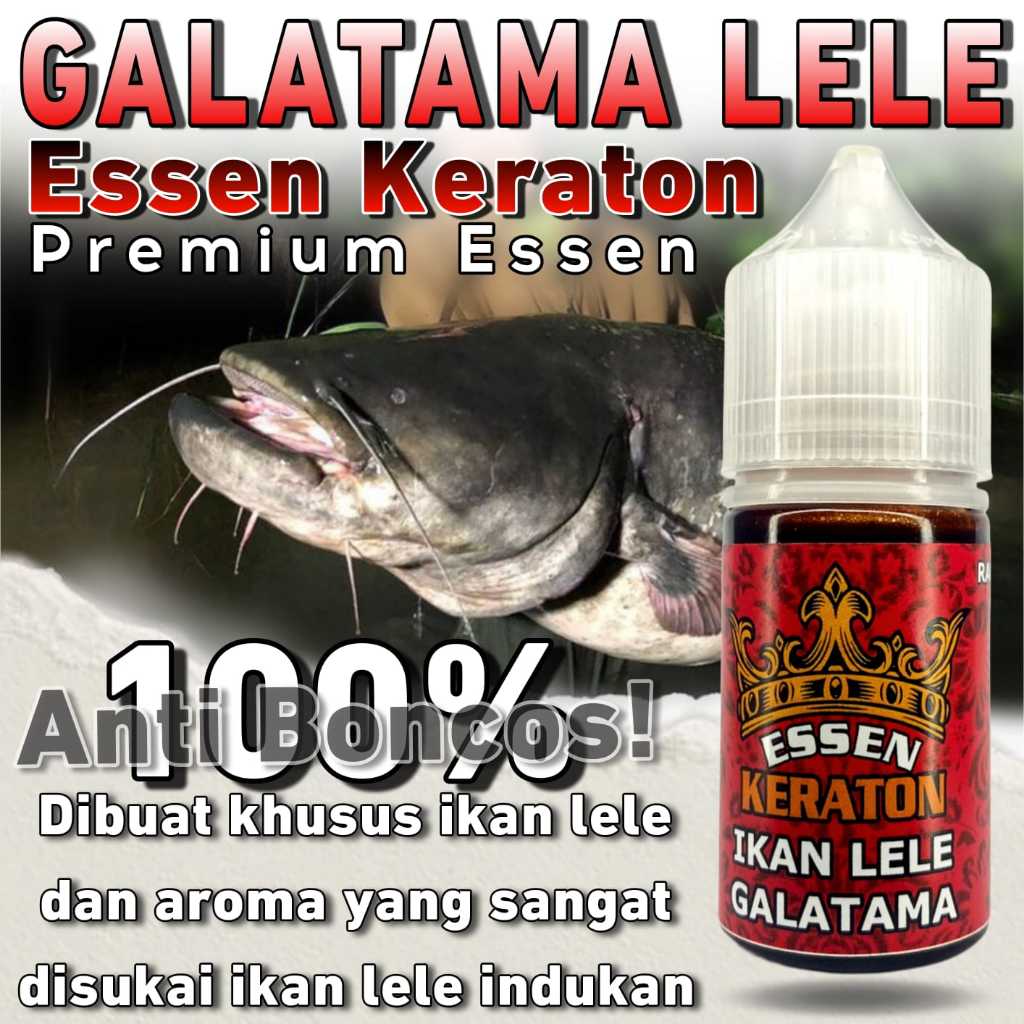 Essen Keraton Super Ikan Lele Yang Cocok Untuk Harian Lomba Kilogebrus & Galatama, Jual Essen Ikan L