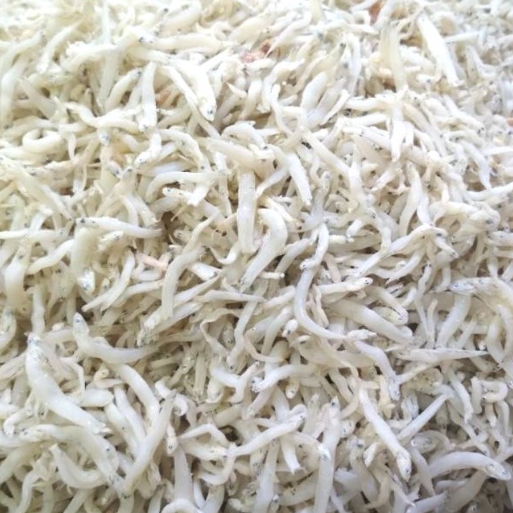 

Sikat Sekarang Grosir 1 gram Ikan Asin Teri Medan Teri Nasi Segar Murah