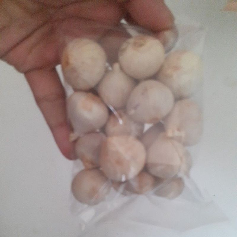 

bawang tunggal lanang 100 gram