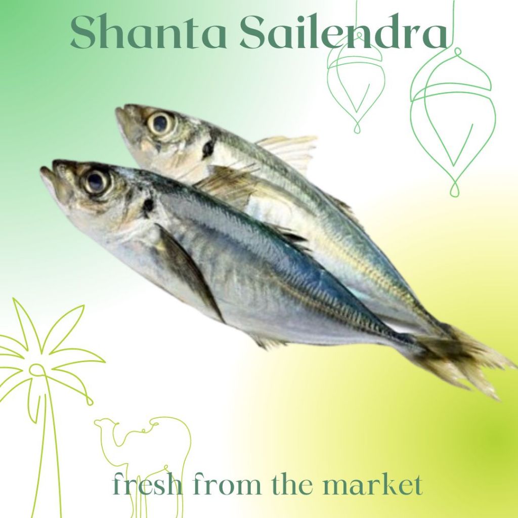

IKAN LAYANG 1 KG