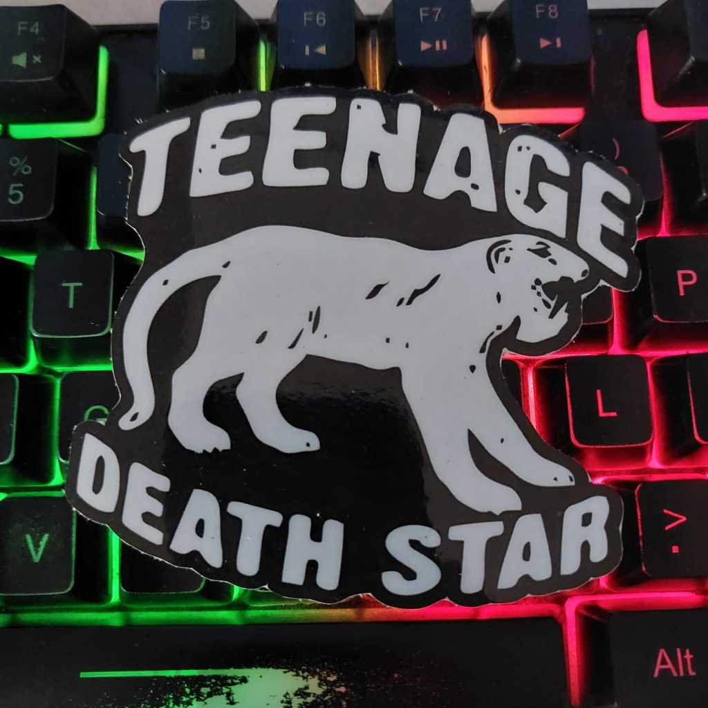 STIKER BAND TEENAGE DEATH STAR  - VINYL ANTI AIR Stiker Helm / Laptop / aksesories