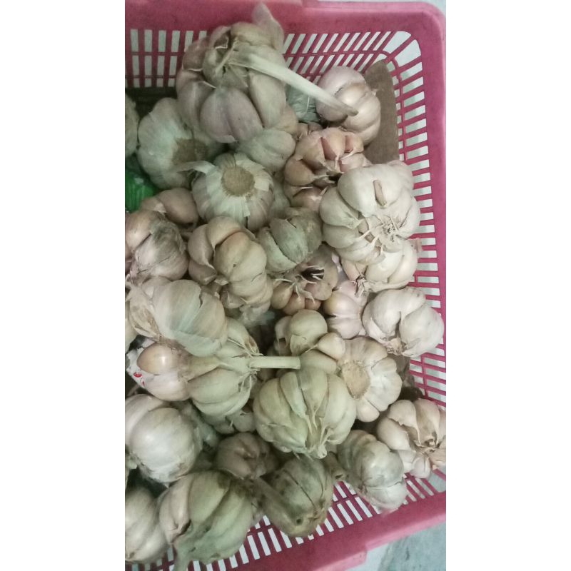 

BAWANG PUTIH SICO 500 gr