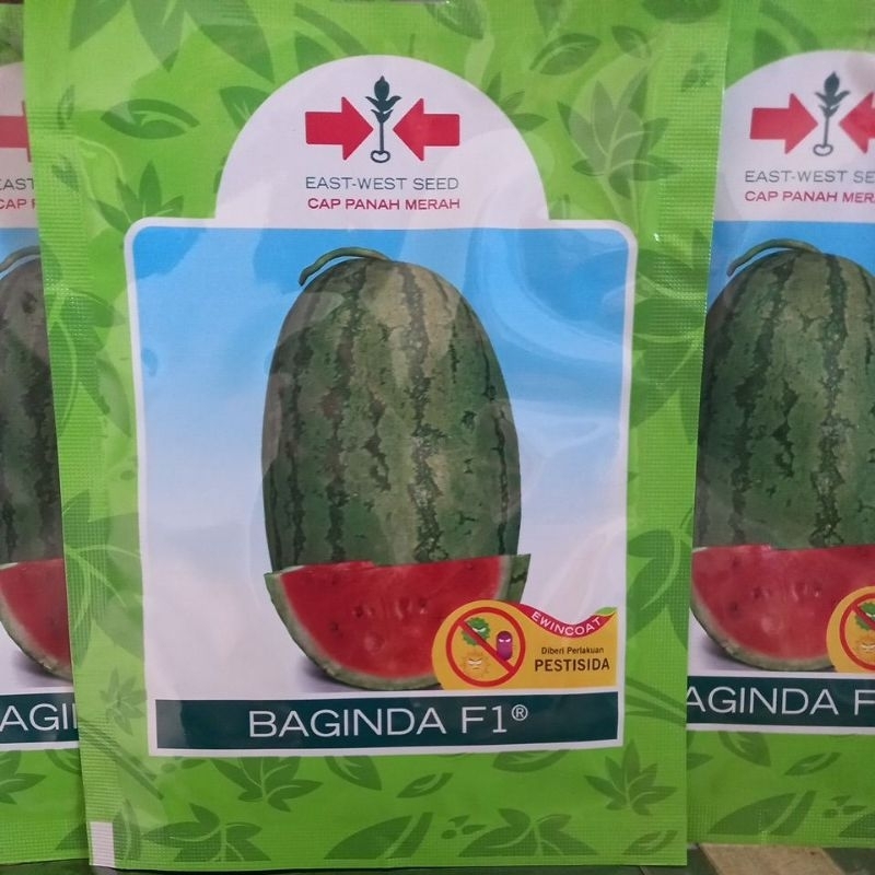 Benih Semangka Baginda F1 Isi 80 Butir