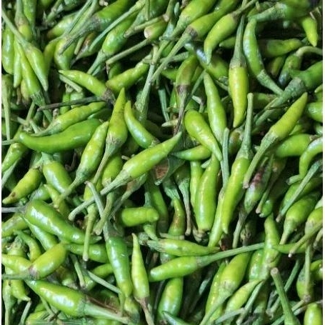 

Cabe Rawit Ijo 100gr