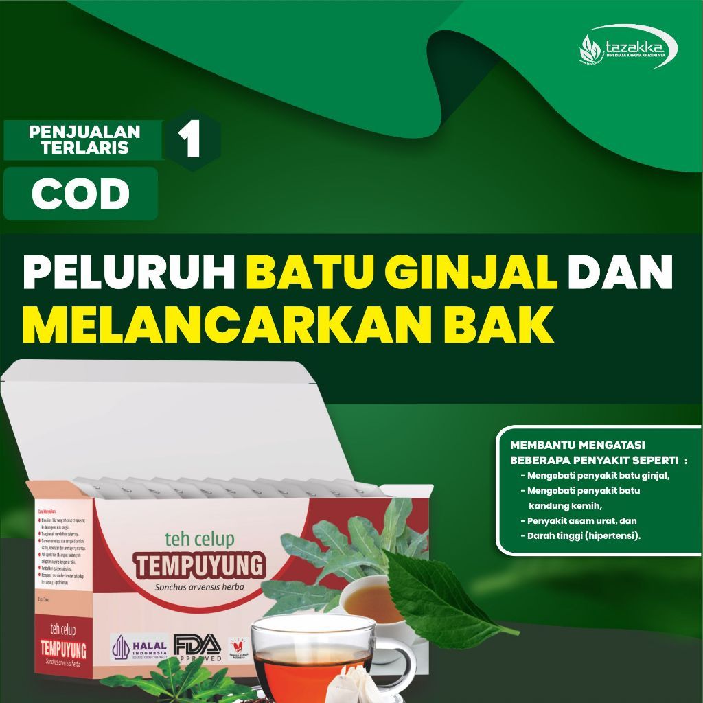 

obat herbal batu ginjal melancarkan buang air kecil dengan teh tempuyung tazakka original alami halal original sudah halal bpom.,