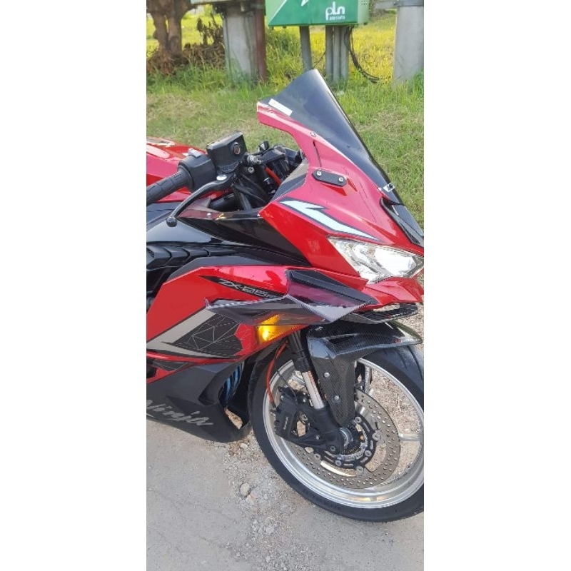 Wingside ZX25R V2 Model BMW Acrylic
