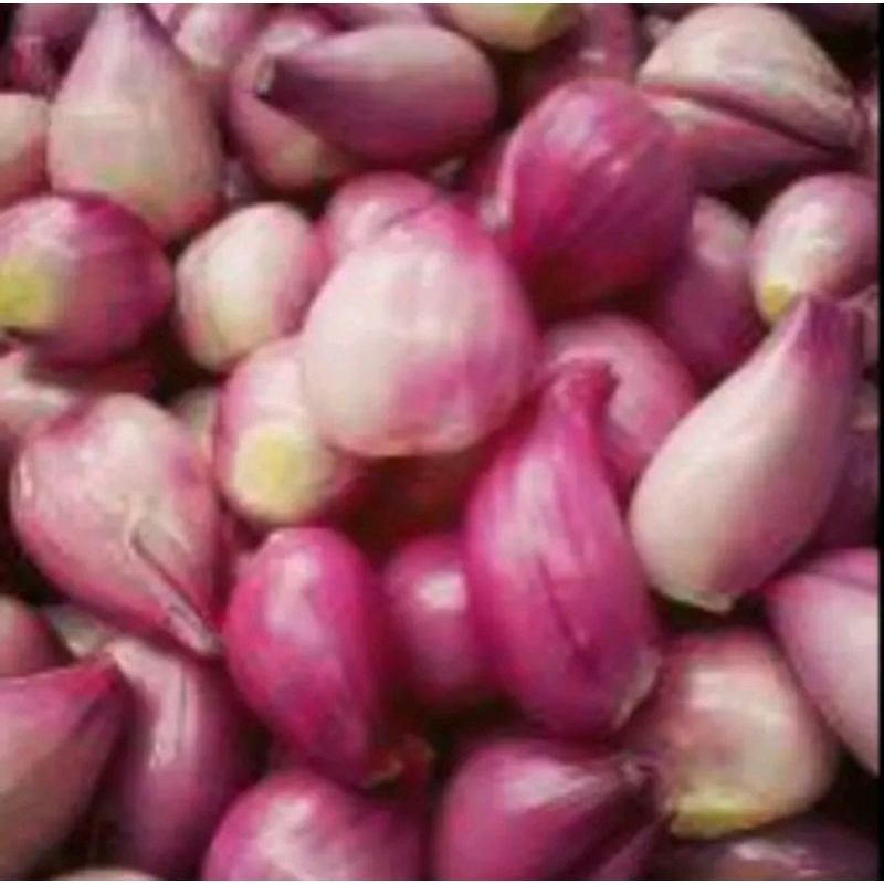 

Bawabg merah regular 500gr