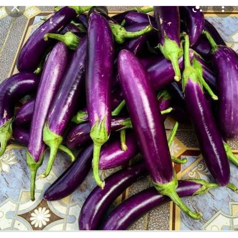 

Sayur Terong 250 gram Sayuran Mentah Fresh Instan Praktis Segar