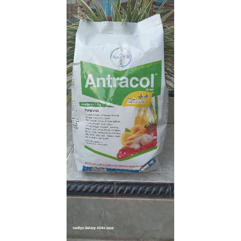 Antracol 70 WP 1kg